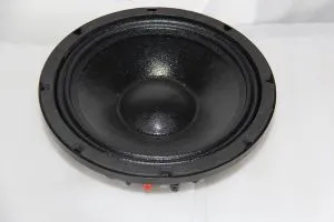 10-tolline 300W RMS NEO Pro helikõlarid Subwoofer