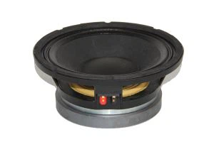 10-tolline 350 W RMS Pro helikõlarid Subwoofer kõlar