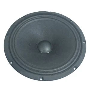 10-tolline Car Audio keskmise sagedusega bassikõlar