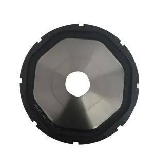 12-tolline sissepritse kõlar